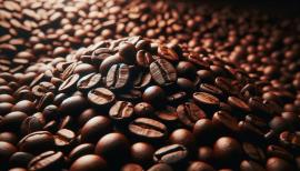 imagegratuite.com_00000335_M_d3-pile-coffee-beans