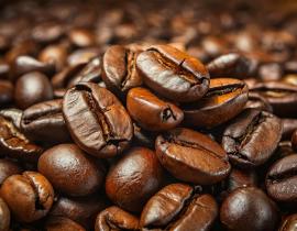 imagegratuite.com_00000342_L_f2-pile-coffee-beans