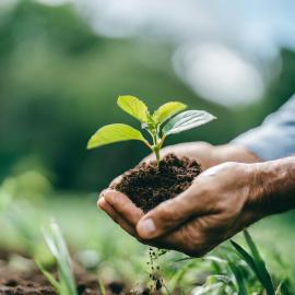 imagegratuite.com_00000545_L_f2-man-holding-small-plant-with-clump-earth