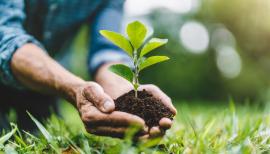 imagegratuite.com_00000546_L_f2-man-holding-small-plant-with-clump-earth