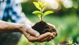 imagegratuite.com_00000548_L_f2-man-holding-small-plant-with-clump-earth