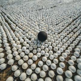 imagegratuite.com_00000623_L_f2-1-black-ball-among-many-white-balls