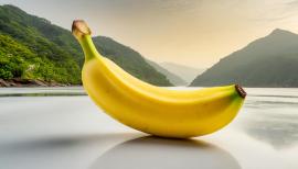 imagegratuite.com_00000666_L_f2-banana-landscape-nature-background