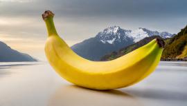 imagegratuite.com_00000667_L_f2-banana-landscape-nature-background