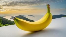 imagegratuite.com_00000668_L_f2-banana-landscape-nature-background